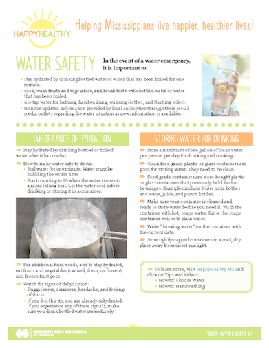 Download HappyHealthy Water Safety Newsletter (P3848)