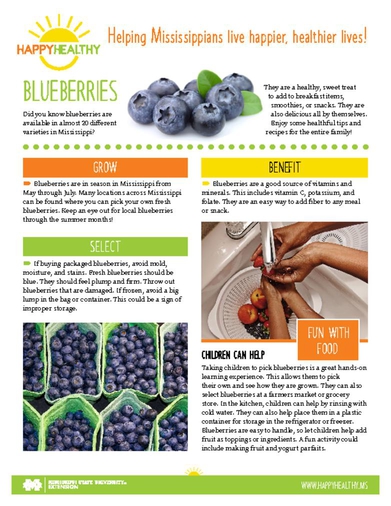 Download HappyHealthy Blueberries Newsletter (P3522)